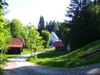 Kirchwald am Wegrand
