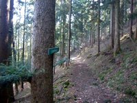 Auf Hhe dieses Schildes geht es (aus dieser Perspektive) rechts den Wald hinauf