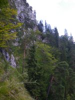 Über steiles Gelände schlängelt sich der Weg auf der Südseite des Rabensteinhorns