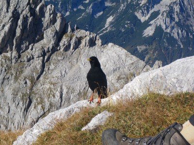 auf der [[Pyramidenspitze]]