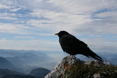 Blick vom Zahmen Kaiser ber das Inntal