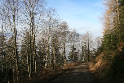 Herbstlicher Abstieg von der Seelacheralm
