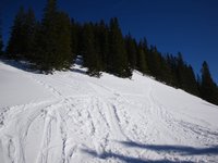 Verzweigung der Skispuren - zum Jägerkamp geht es links