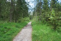 breiter Wanderweg im Wimbachtal