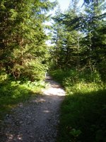 Trail zur Archenkanzel