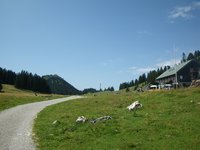 Hochries Hochrieshütte Hochriesbahn Riesenalm Riesenhütte