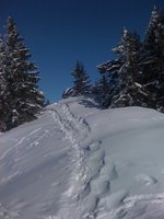 Gipfelgrat zwischen Rampoldplatte und Lechnerkopf