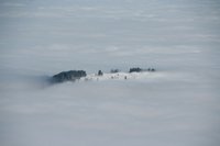 Farrenpoint im Nebel