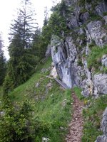 Weg zwischen Schoißer-Alm und Brünnsteinhaus