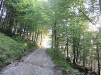 Aufstieg zur Ebnerspitze zu Beginn der Tour über einen Fahrweg