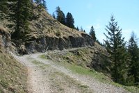 Weg zur Neuhütte Seeberg