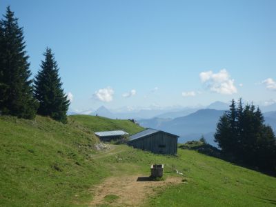 Jocheralm in den Brandenberger Alpen