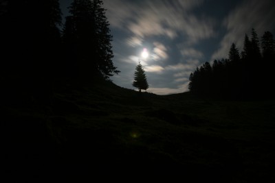 [[Laubenstein]]alm bei Vollmond