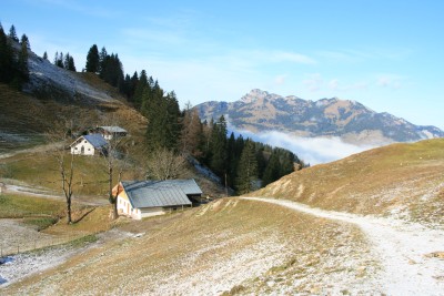 erster Schnee an der [[[Brnnsteinschanze|Seelacheralm]]]